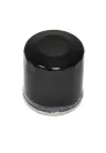 Filtru ulei Athena FFP008