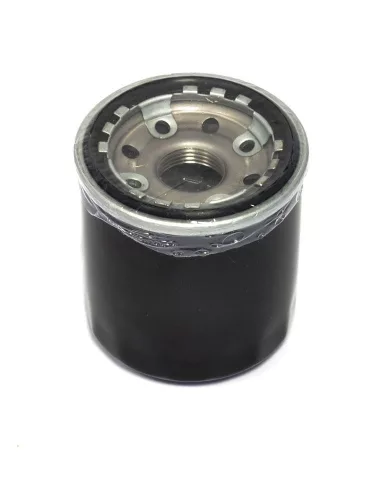Filtru ulei Athena FFP008