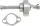 Arbore came PSR 03-02004-29