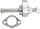 Arbore came PSR 03-02005-29