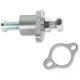 Arbore came PSR 07-02005-29