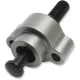 Arbore came PSR 04-02012-29