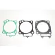 Kit garnituri Athena R2106-064