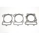 GASKET KIT RACE KAW/SUZ ATHENA R2506-016