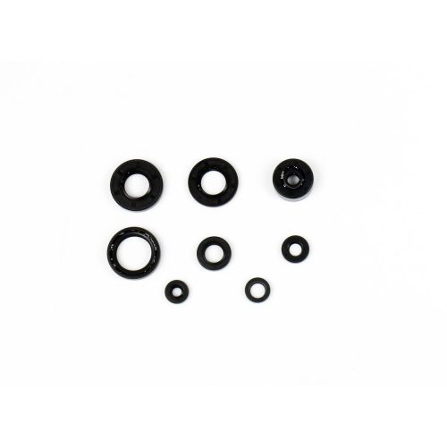 Athena Engine Oil Seals Kit P4E0485400010