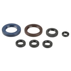 Athena Engine Oil Seals Kit P400270400002