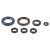 Athena Engine Oil Seals Kit P400270400002