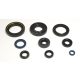 ENGINE OIL SEALS KIT