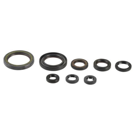 Athena Engine Oil Seals Kit P400210400202