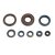 Athena Engine Oil Seals Kit P400220400128