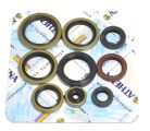 Athena Engine Oil Seals Kit P400270400009