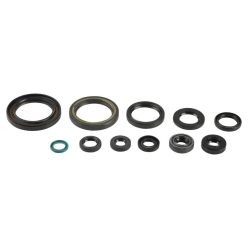 Athena Engine Oil Seals Kit P400210400064