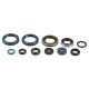 Athena Engine Oil Seals Kit P400250400016