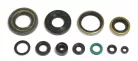 Kit garnituri Athena P400250400256