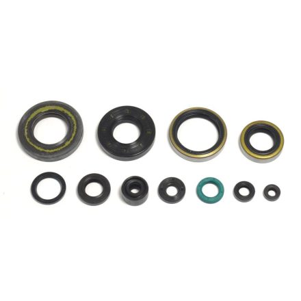 Athena Engine Oil Seals Kit P400250400256