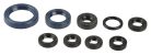 ENGINE OIL SEALS KIT