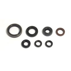 Athena Engine Oil Seals Kit P400485400039