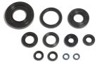 Athena Engine Oil Seals Kit P400485400035