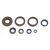 Athena Engine Oil Seals Kit P400220400252