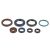 Athena Engine Oil Seals Kit P400270400016