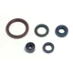 Kit garnituri Athena P400220400255