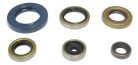 Athena Engine Oil Seals Kit P400270400047