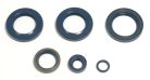 Athena Engine Oil Seals Kit P400270400051