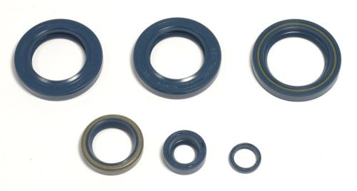 Athena Engine Oil Seals Kit P400270400051