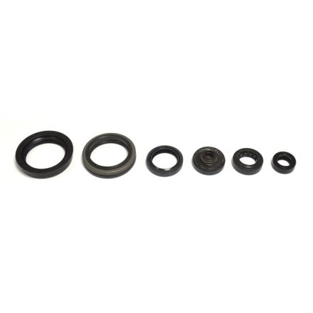 Athena Engine Oil Seals Kit P400510400045