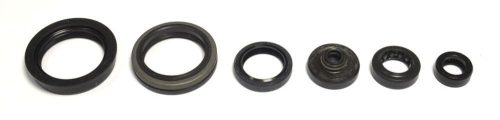 Athena Engine Oil Seals Kit P400510400045