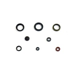 Athena Engine Oil Seals Kit P400510400095