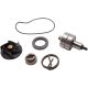 Repair Kit Water Pump Pia