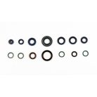 Athena Engine Oil Seals Kit P400110400101