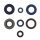 ENGINE OIL SEAL AP/YA ATHENA P400130400204/1