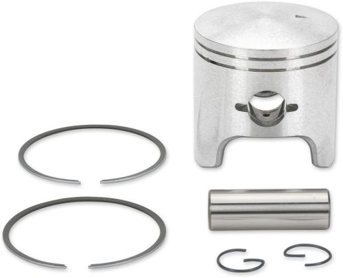 Piston Assy Arctic Std.