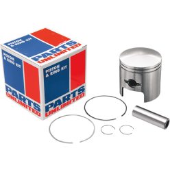 Piston Assy Arctic Std