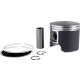 Kit piston Parts Unlimited 09-730