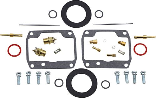 Carb Rebuild Kit Ski-Doo