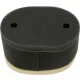 Filtru aer Emgo 12-93060