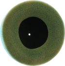 Filtru aer Twin Air 151010X