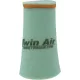 Filtru aer Twin Air 152900X