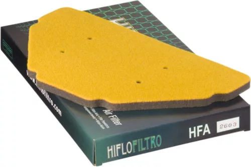 Filtru aer HifloFiltro HFA2603
