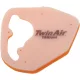Filtru aer Twin Air 152385