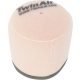 Twin Air Replacement Bf Filter 153911Fr