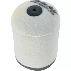 Filtru aer Twin Air 153909FR