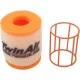 Filtru aer Twin Air 156060P