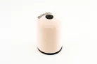 Filtru aer Twin Air 150929FR