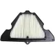Filtru aer HifloFiltro HFA2920
