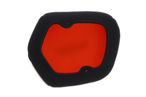 Filtru aer Twin Air 154225