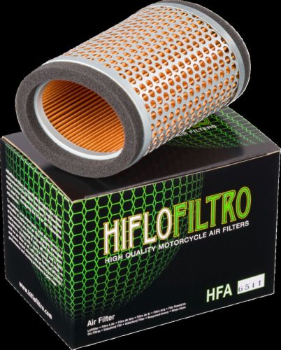 Filter Air Triumph Thunderbird Hfa6511